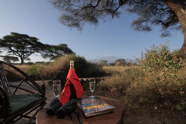 En kikkert, en bok om dyr og to champagneglass på et bord, med akasiene og Kilimanjaro foran