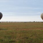 To stripete luftballonger lander tidlig om morgenen på den grønne sletta, med 4x4-bilene som følger dem