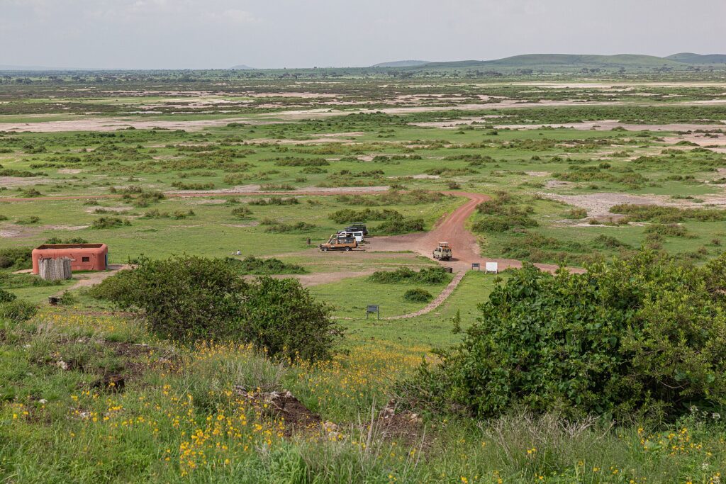 Utsikt fra Observation Hill over en grønn slette med saltflekker, et rødt spor, tre 4x4-biler parkert ved en liten okerfarget bygning og lave åser i det fjerne