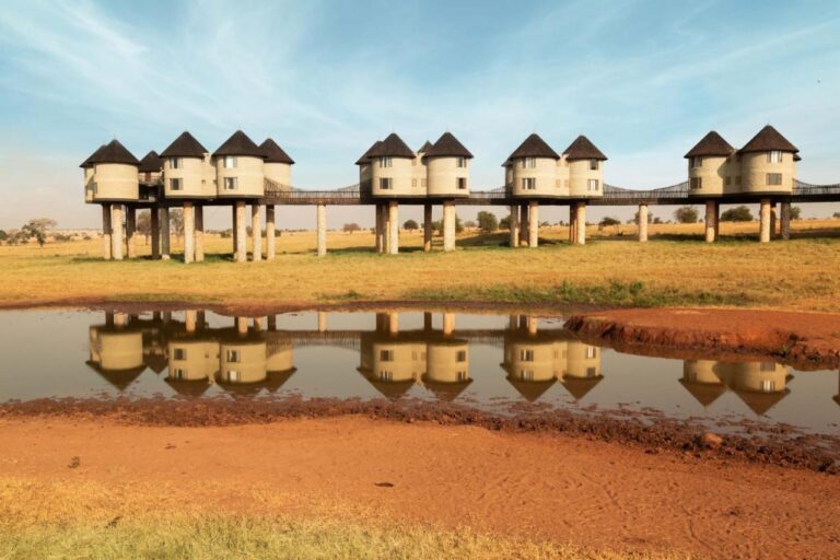 Tårnene på påler på Salt Lick Safari Lodge, forbundet med gangbroer, speiler seg i et vannhull