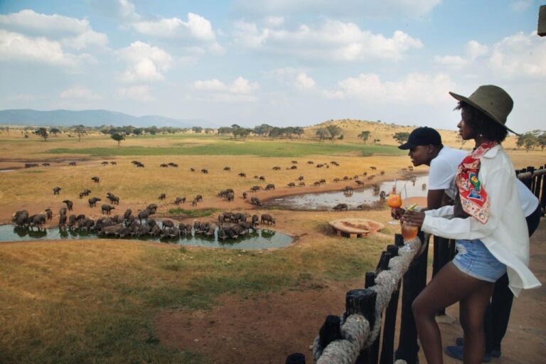 To reisende lener seg mot rekkverket og ser en stor bøffelflokk drikke ved vannhullet