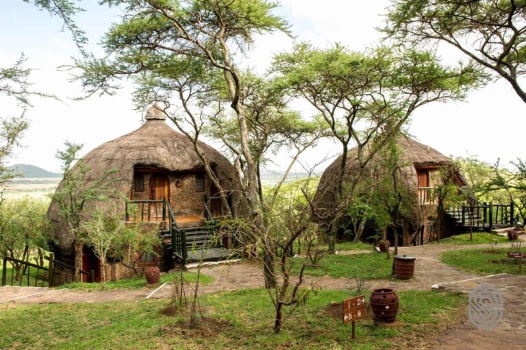 To runde hytter på Serengeti Serena Safari Lodge, under kuppeltak av strå, mellom akasiene